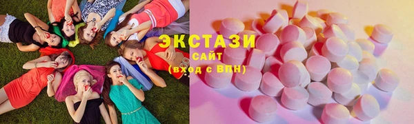 индика Гусь-Хрустальный