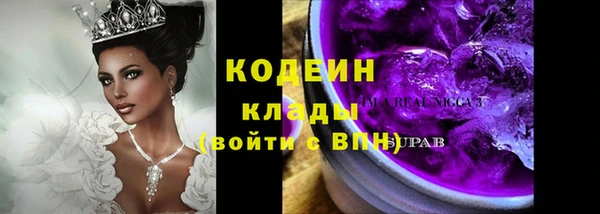винт Вяземский