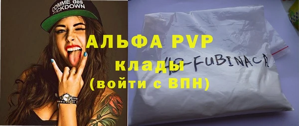 винт Вяземский
