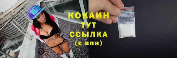 молекула духа Тутаев