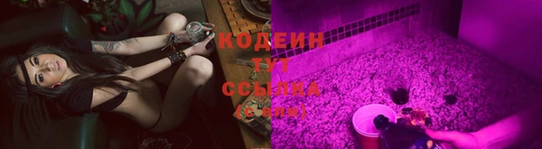 индика Гусь-Хрустальный
