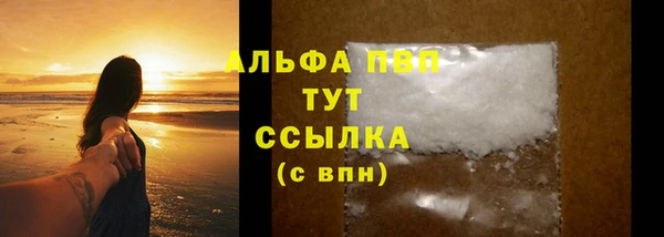 винт Вяземский