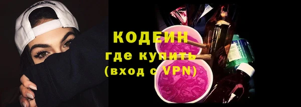 индика Гусь-Хрустальный